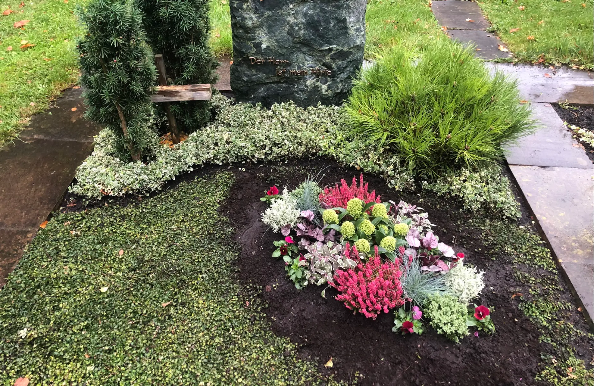 Herbstlich bepflanztes Grab mit Heide, Hortensien, Stiefmütterchen und silbrigem Blattschmuck