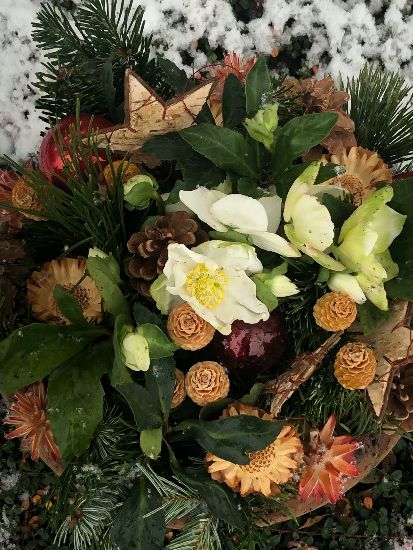 Winterliches Gesteck mit Christrosen, Zapfen, Tannengrün und roten Kugeln im Schnee