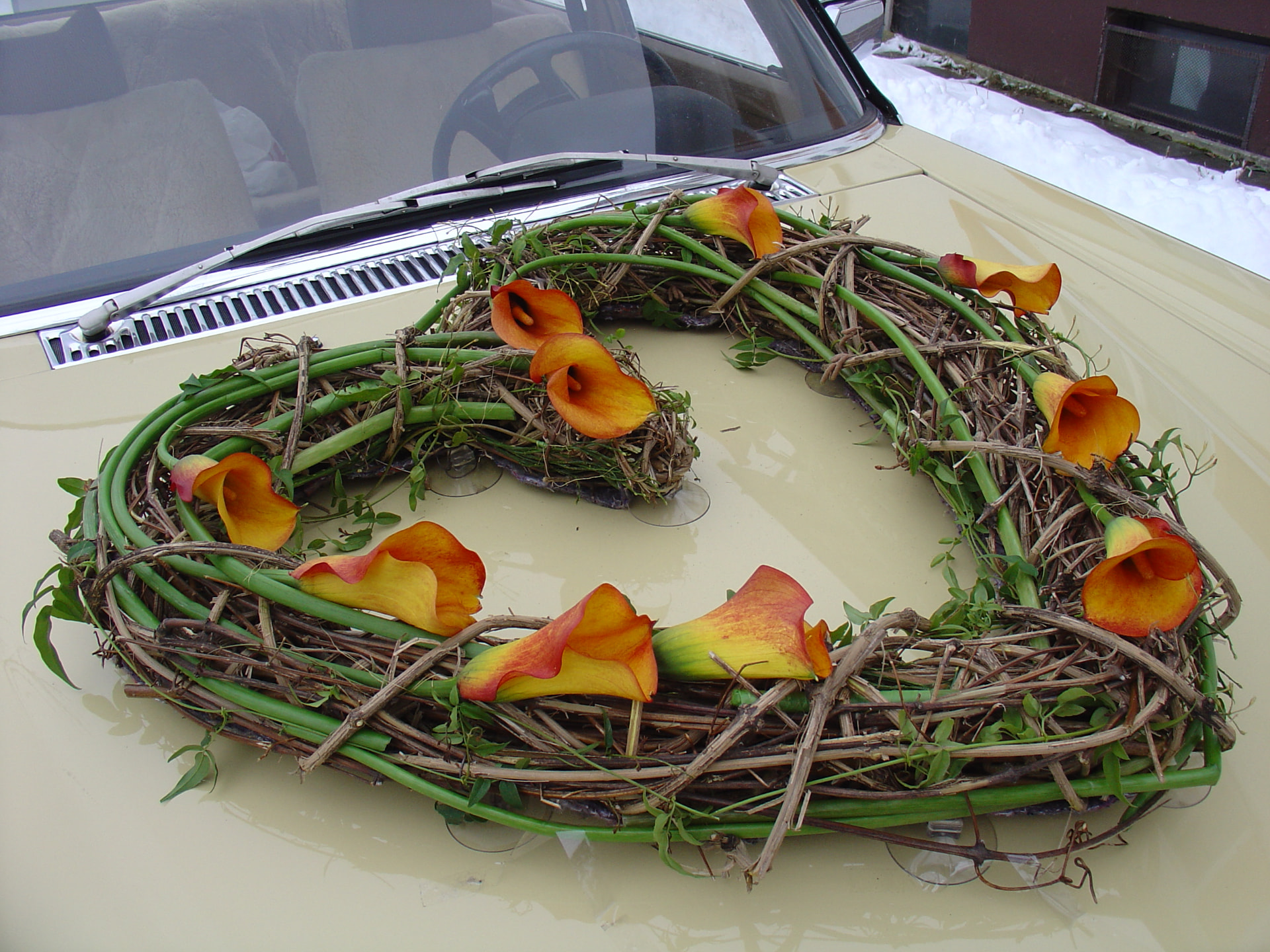 Herzförmiger Autokranz aus grünen Ranken und orangefarbenen Callas auf der Motorhaube eines Oldtimers