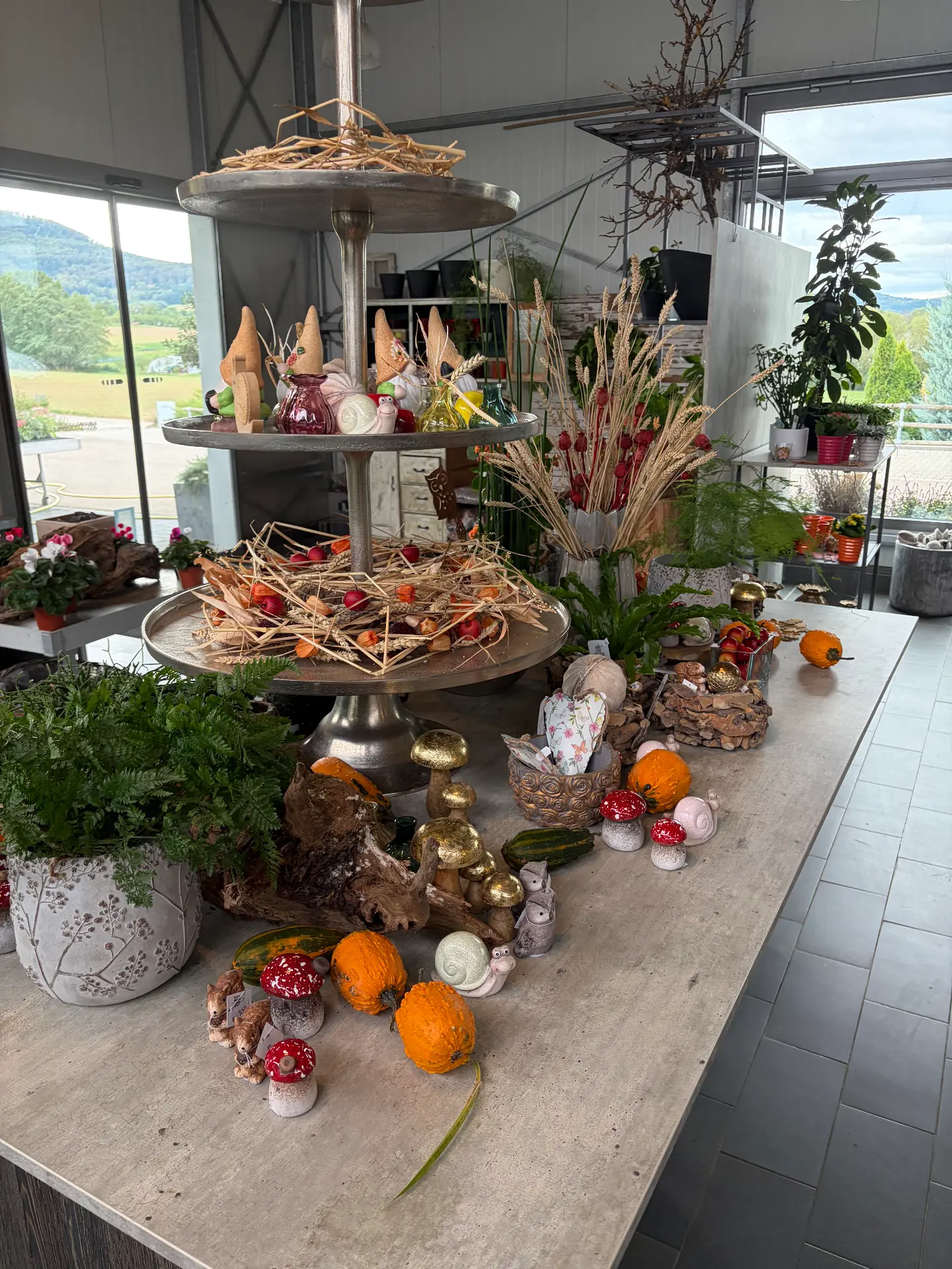 Herbstlich dekorierter Verkaufsraum mit Pflanzen, Kürbissen und Accessoires