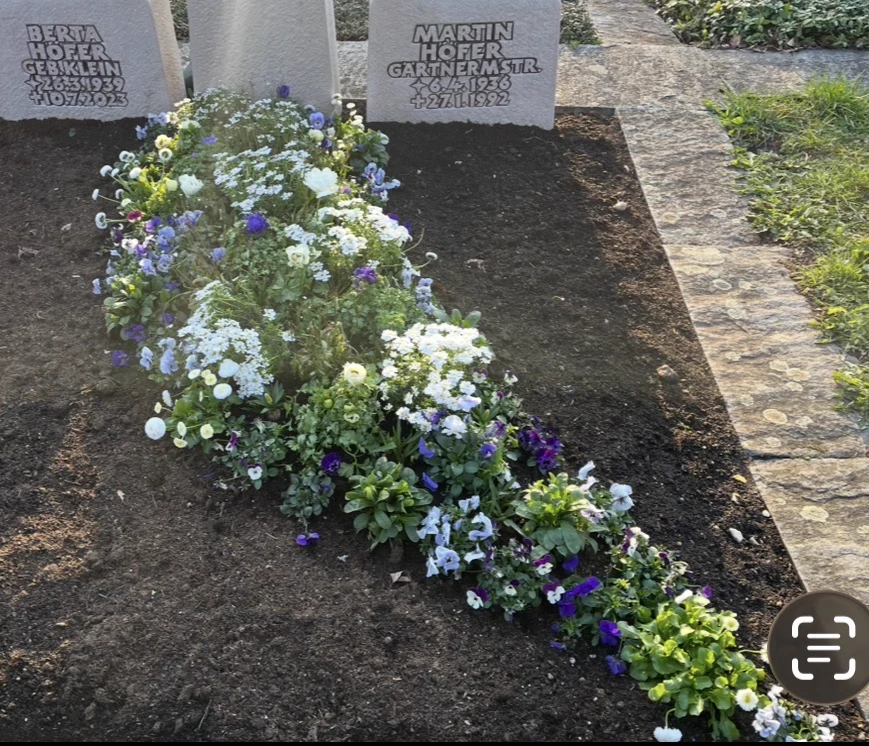 Langgestreckte Grabbepflanzung mit weißen und violetten Blüten