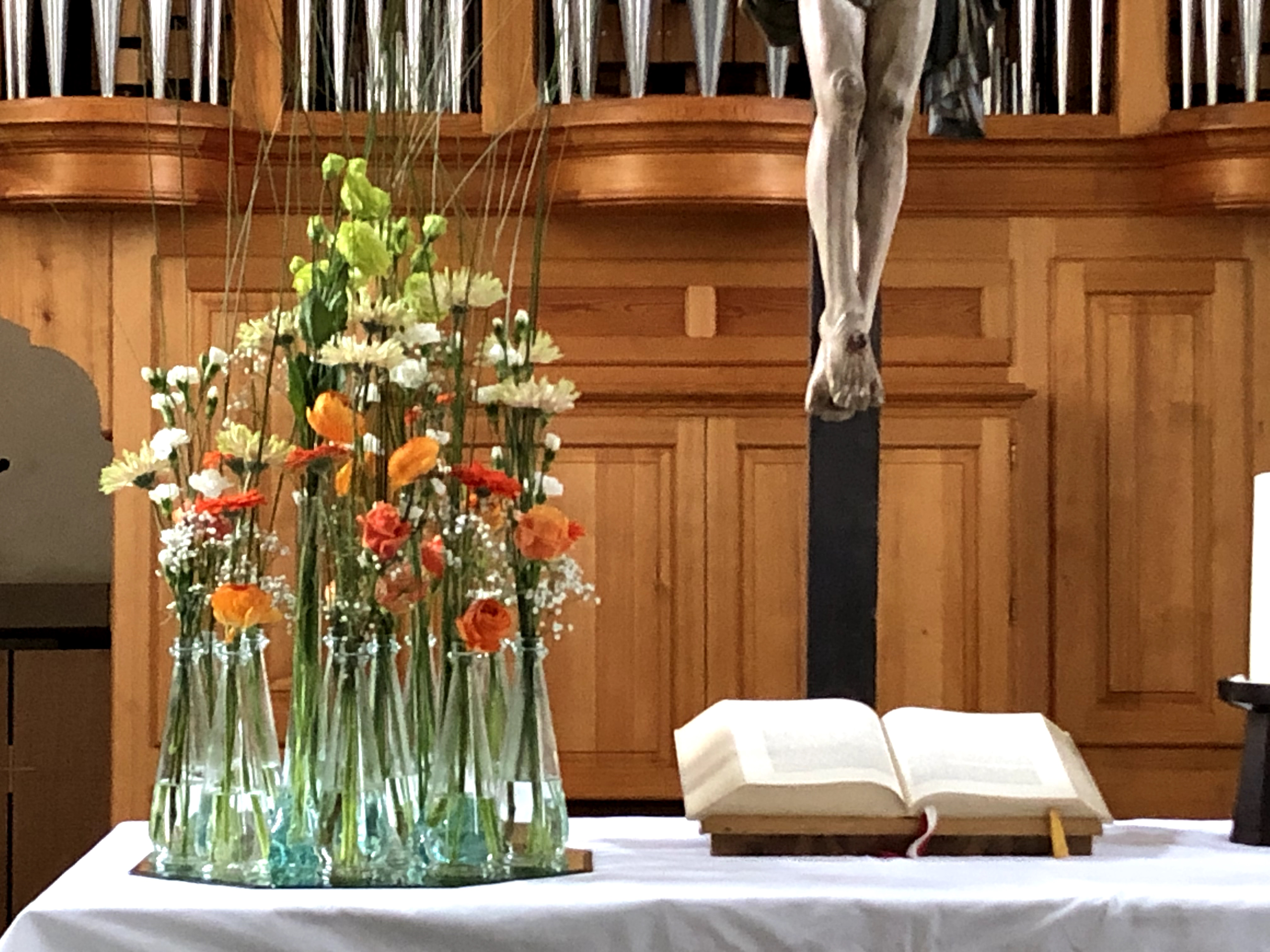 Events bei der Gärtnerei Höfer
